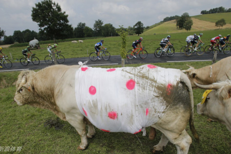 王中王四不像中一肖