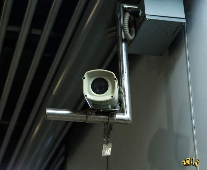 新澳资料大全正版资料2025年免费,全面解析与预测,新澳资料大全正版解析与预测,2025年免费展望