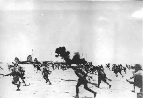 海南岛战役经过图及其历史背景与意义,海南岛战役,经过图、历史背景与深远意义