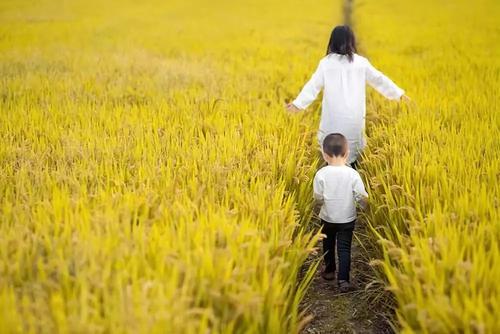 家教老师考90分第7话,挑战与突破,家教老师考90分第7话,挑战与突破的成长之路