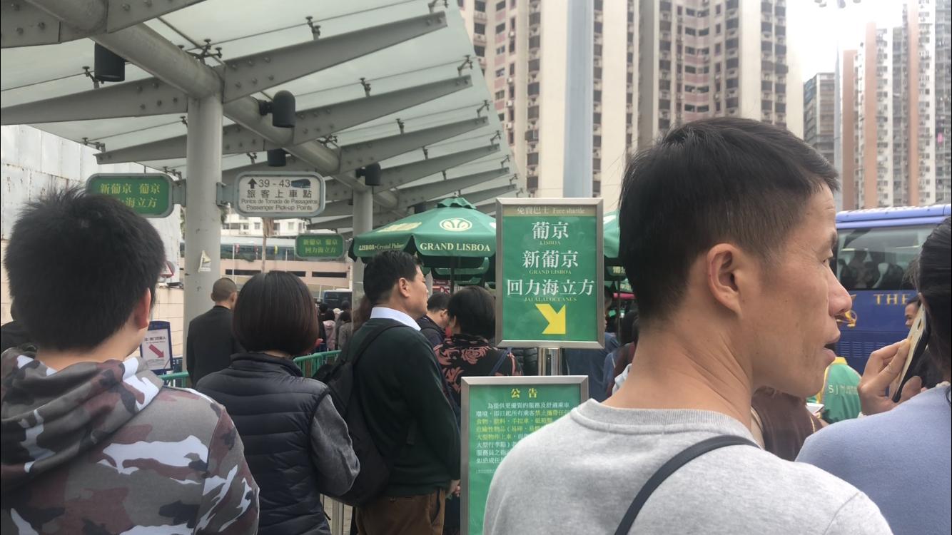 澳门天天免费精准大全,探索澳门的文化与魅力,澳门文化与魅力探索,天天免费精准大全