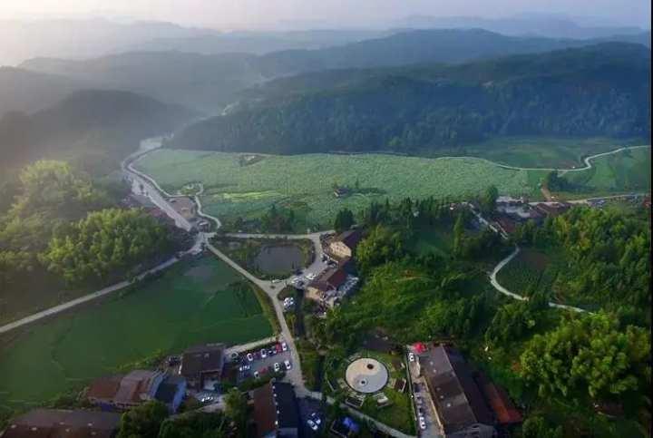 刘伯温生肖预言