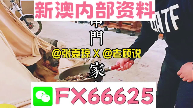 新澳门2025年资料大全管家婆,探索未来的机遇与挑战,澳门未来展望,机遇与挑战并存(澳门2025年资料大全管家婆版)