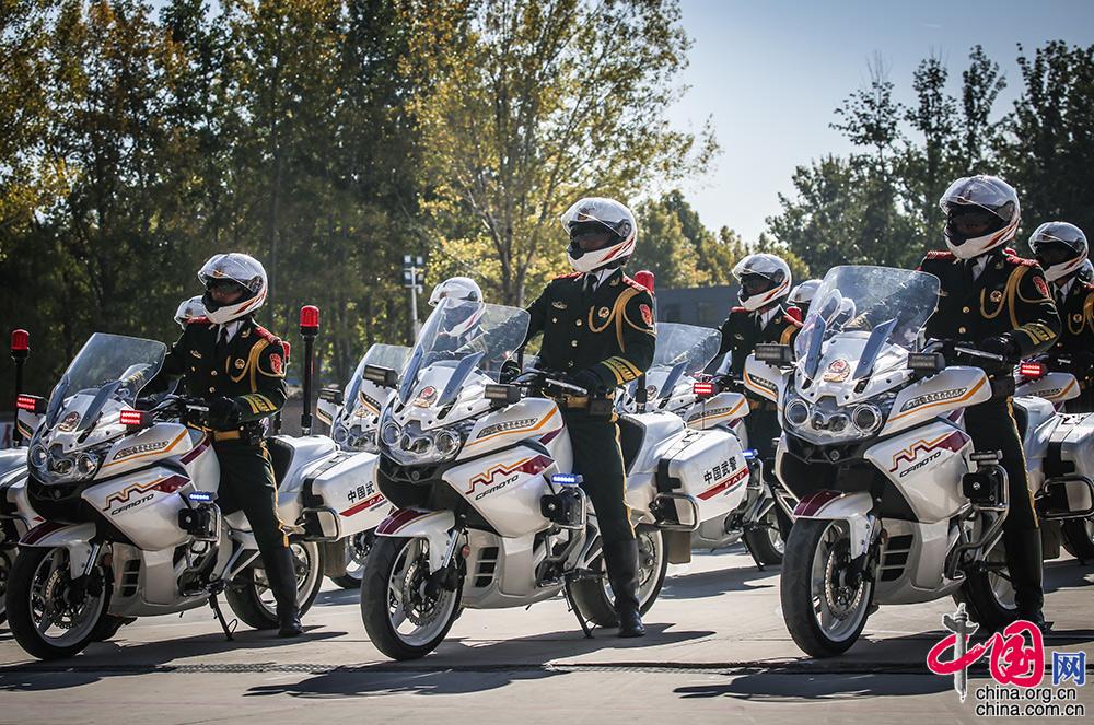 国宾护卫队威风视频,展现荣耀与力量的象征,国宾护卫队荣耀瞬间,力量与威严的象征