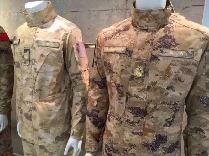 回顾与前瞻/未来发展