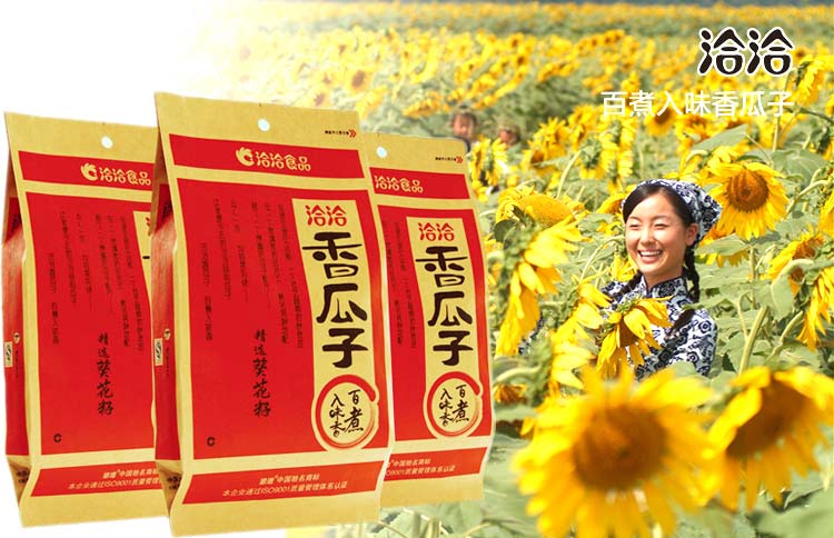 王中王平特一肖主一码,探索与解析,王中王平特一肖主一码解析探索