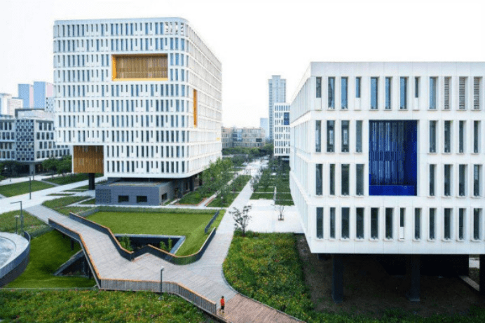 深度解析与揭秘