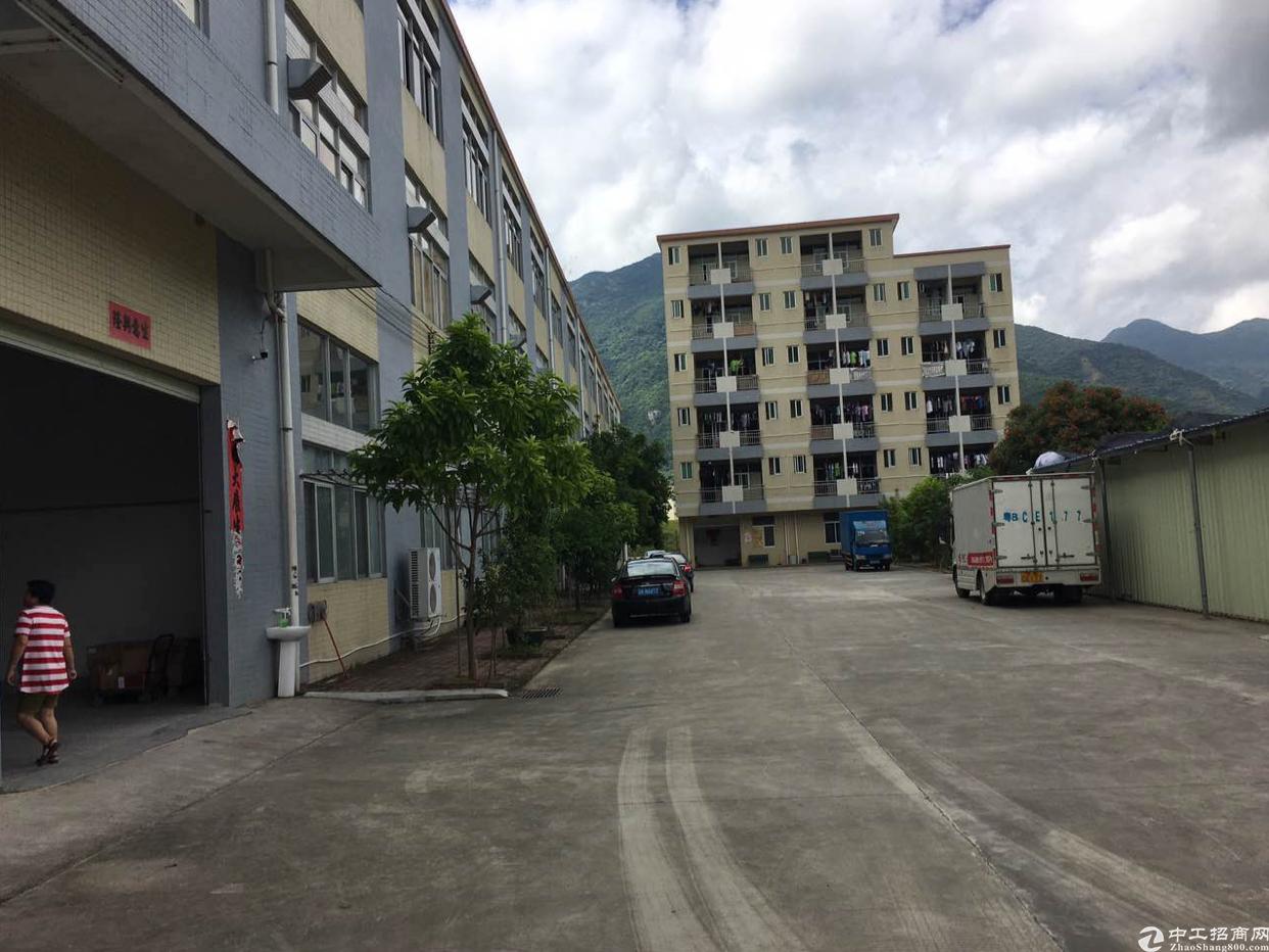 石岗军营面积揭秘,深入探究与详尽解读,石岗军营面积深度解析与揭秘