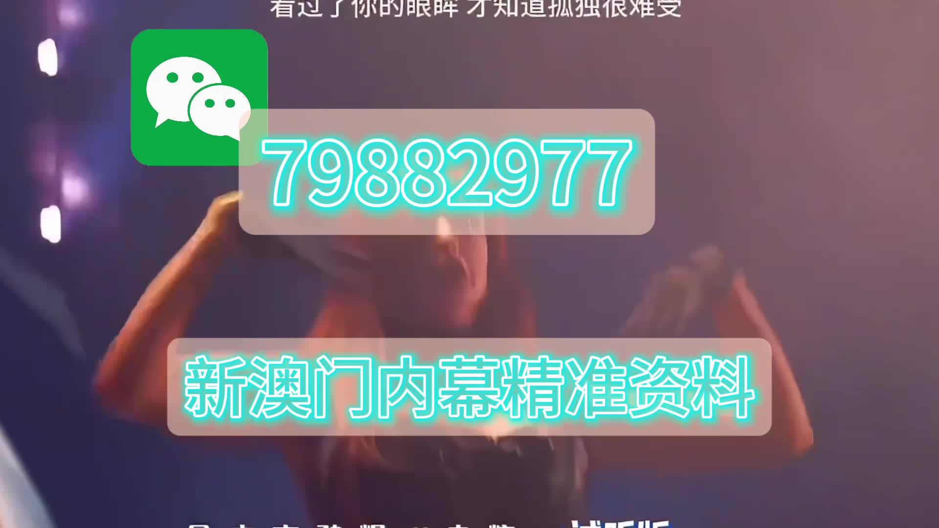 探索未来的澳门——关于新澳门资料鸡号的深度解析,澳门未来展望,深度解析新澳门资料鸡号