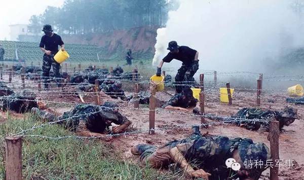 国际猎人学校含金量深度解析,国际猎人学校含金量全面解析