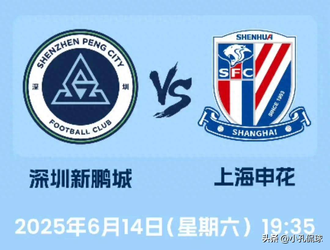 王中王必中一肖图片,揭秘背后的故事与意义,揭秘王中王必中一肖图片背后的故事与寓意