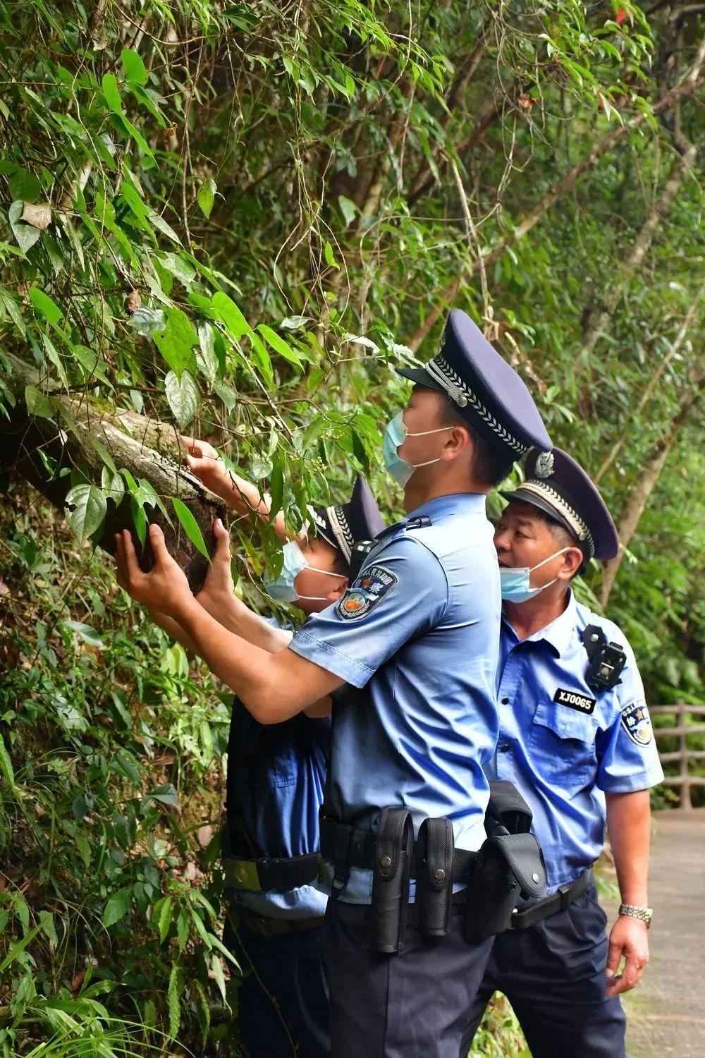 泉州游船，探索古城的绝佳方式，泉州游船，古城探索的绝佳之旅