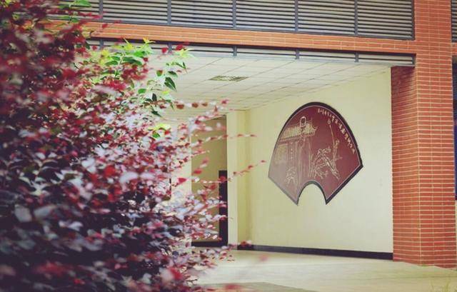 澳门二四六天下彩天天免费大全——探索澳门彩票文化的魅力,澳门彩票文化魅力探索,二四六天下彩免费大全