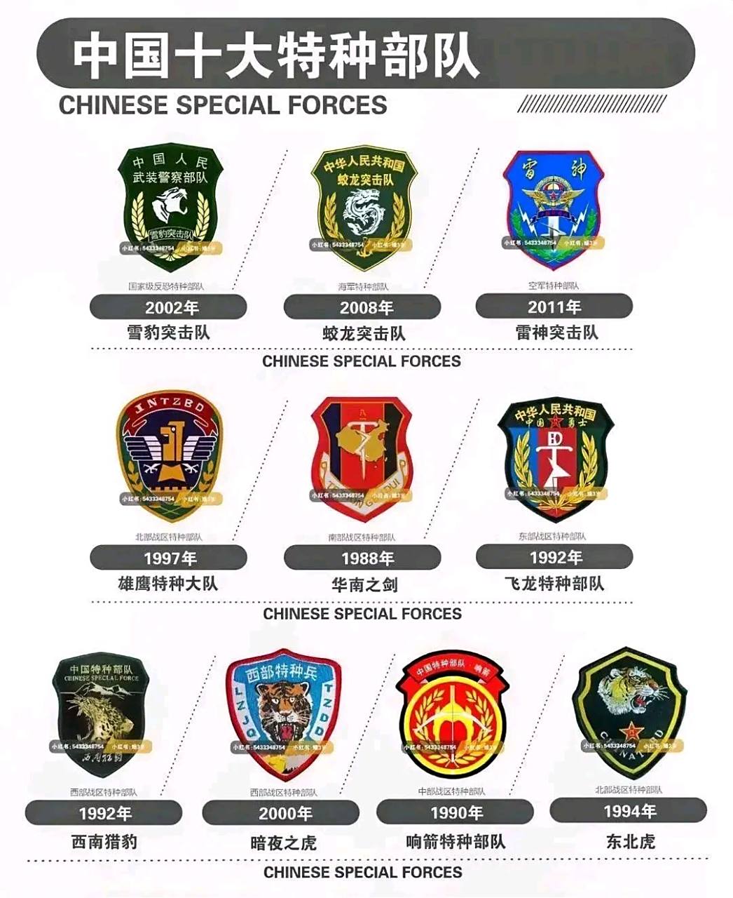 中国响箭特种部队排名及其影响力,中国响箭特种部队排名及影响力探究