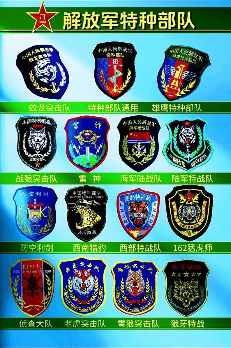 中国响箭特种部队排名及其影响力,中国响箭特种部队排名及影响力探究
