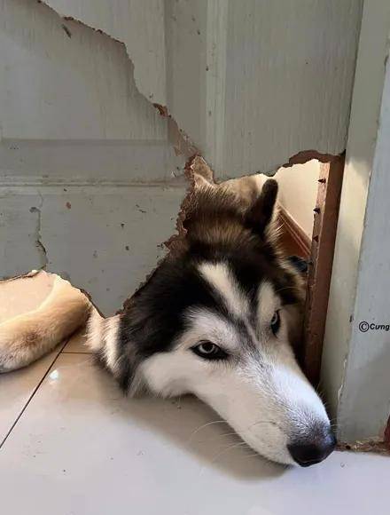 一肖一尾几组二中二——探寻数字背后的奥秘,探寻数字背后奥秘,一肖一尾二中二现象解析