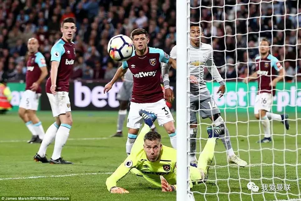 一肖二码中特社区，探索与解析，一肖二码中特社区，深度探索与解析