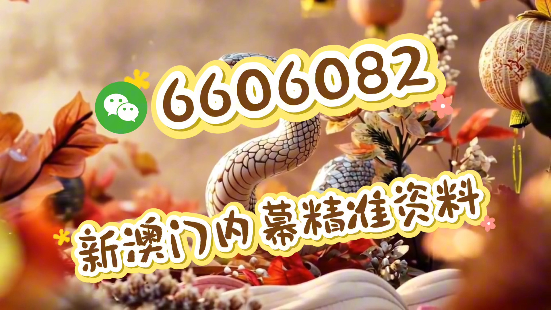 澳门四肖八码期期准免费公开,揭秘与探讨背后的秘密,澳门四肖八码期期准揭秘与探讨背后的秘密,免费公开资料大揭秘