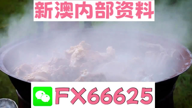 新澳全年免费资料大全,探索与学习的宝库,新澳全年免费资料大全,探索学习的宝库