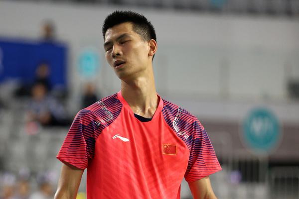 王中王一肖枫,探索卓越之路,王中王一肖枫,卓越之路的探索