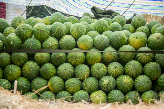 澳门一肖100准免费——揭秘澳门生肖彩票的奥秘,澳门生肖彩票揭秘,一肖预测准确率背后的秘密