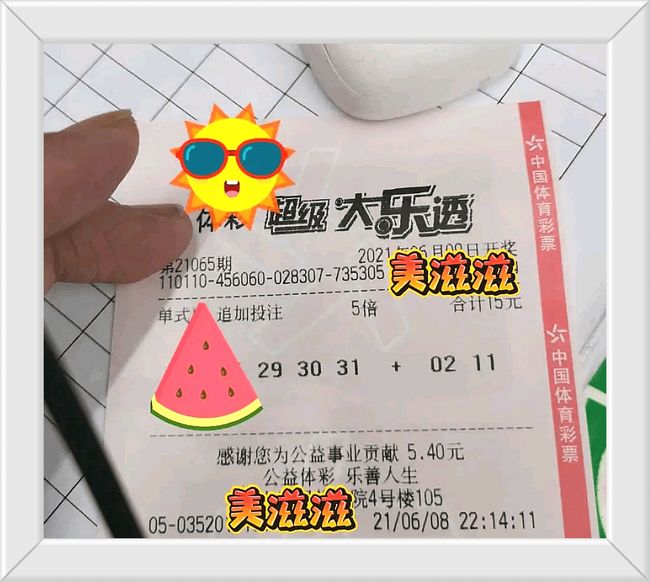 澳门六会65期开奖结果,深度分析与预测,澳门六会65期开奖结果深度解析与预测报告