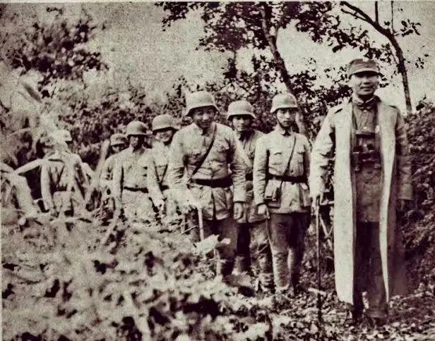 部队代号分布及其战略意义,部队代号分布与战略意义揭秘