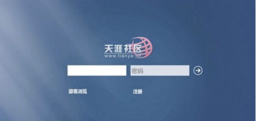 天涯论坛的崛起与变迁,探究其发展历程及时间节点,天涯论坛的崛起与变迁,发展历程及关键时间节点探究