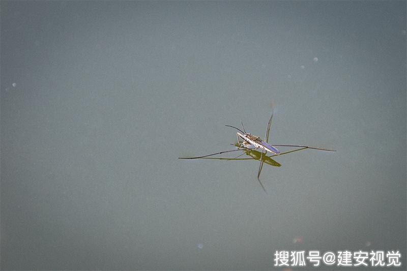 探索未知,物体能否浮在水面上的奥秘,揭秘物体浮于水面之谜,探索未知的科学奥秘