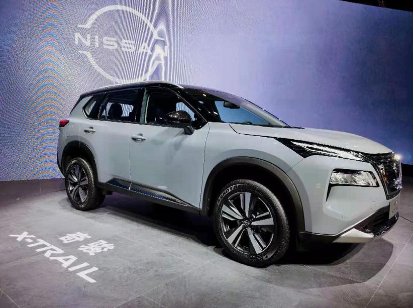 王中王212期指一生肖——探寻背后的文化奥秘,王中王212期生肖背后的文化奥秘探寻