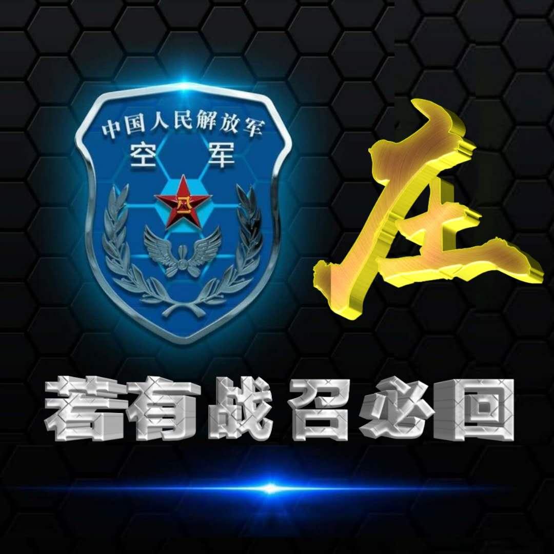 空军帅气微信头像,展现英勇与荣耀的象征,空军英勇头像,荣耀与力量的象征