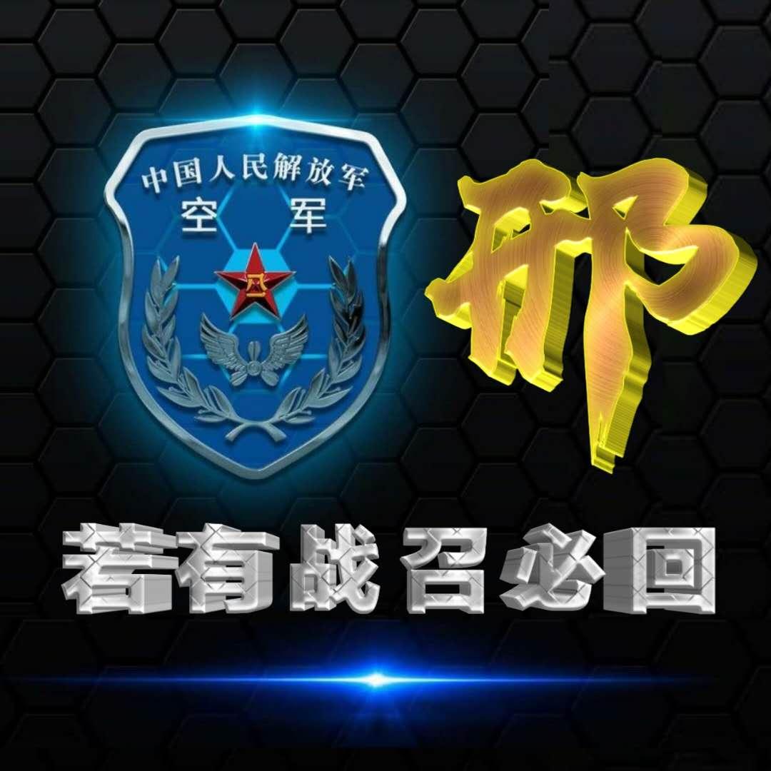 空军帅气微信头像,展现英勇与荣耀的象征,空军英勇头像,荣耀与力量的象征