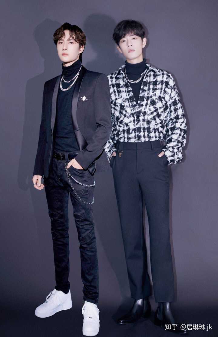 王中王一肖准特资料深度解析，王中王一肖准特资料深度剖析