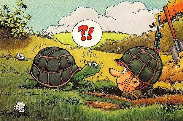 军事漫画集图片,热血与荣耀的集结,军事漫画集图片,热血与荣耀的交汇时刻