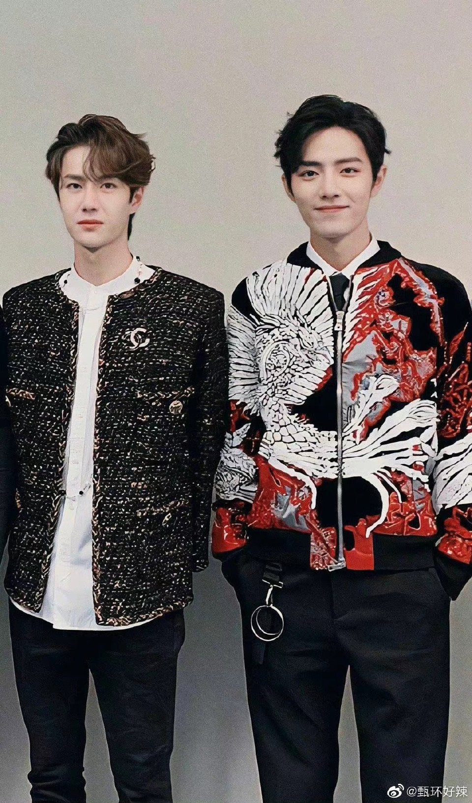 王中王一肖资料深度解析,探寻一肖的独特魅力,王中王一肖资料深度解析,探寻独特魅力之源