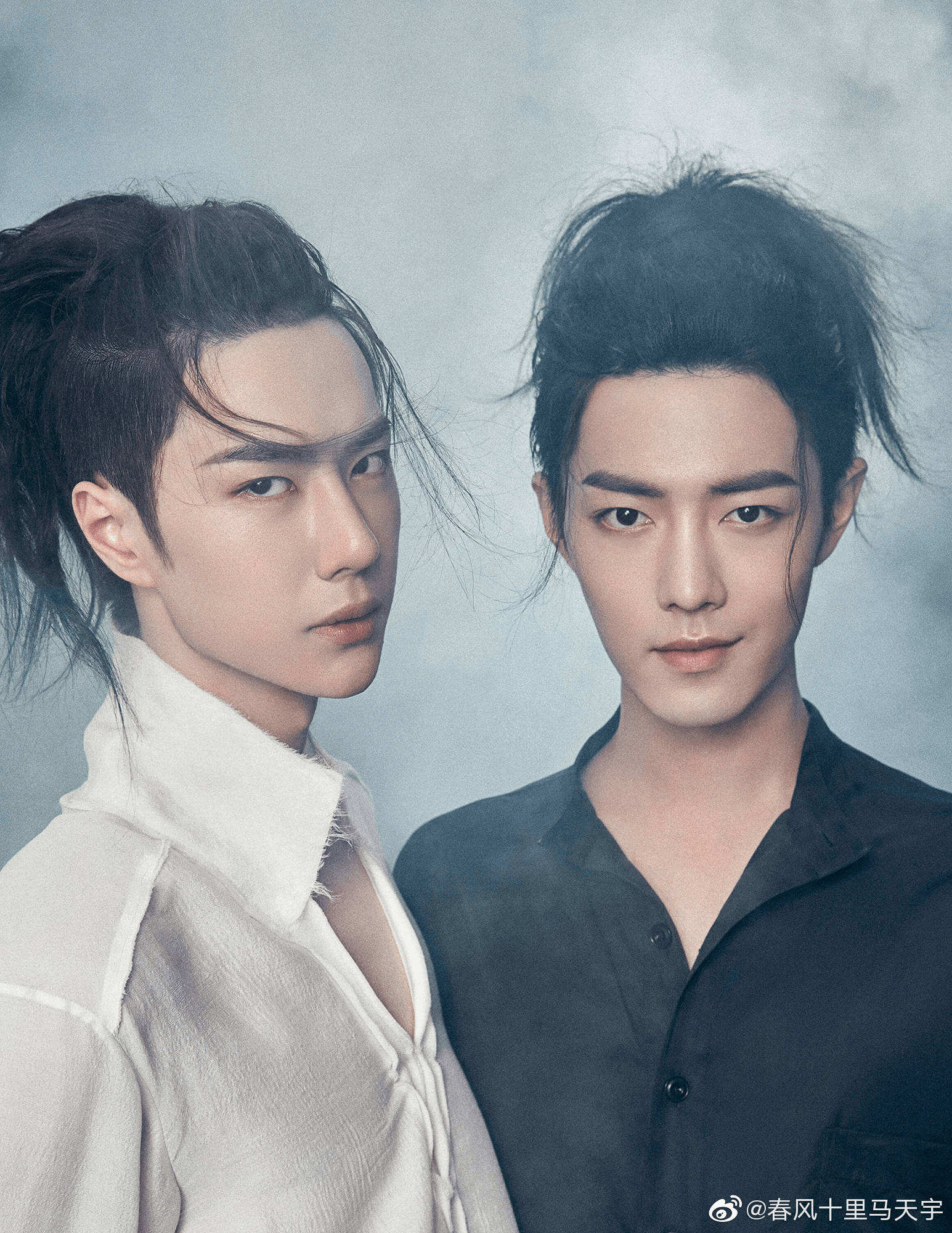 王中王一肖资料深度解析，探寻一肖的独特魅力，王中王一肖资料深度解析，探寻独特魅力之源