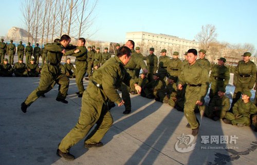 尊重与成长,不得打骂新兵,尊重与成长,新兵不打骂,共同成长之路
