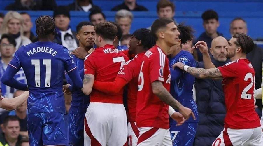 2025新奥免费资料