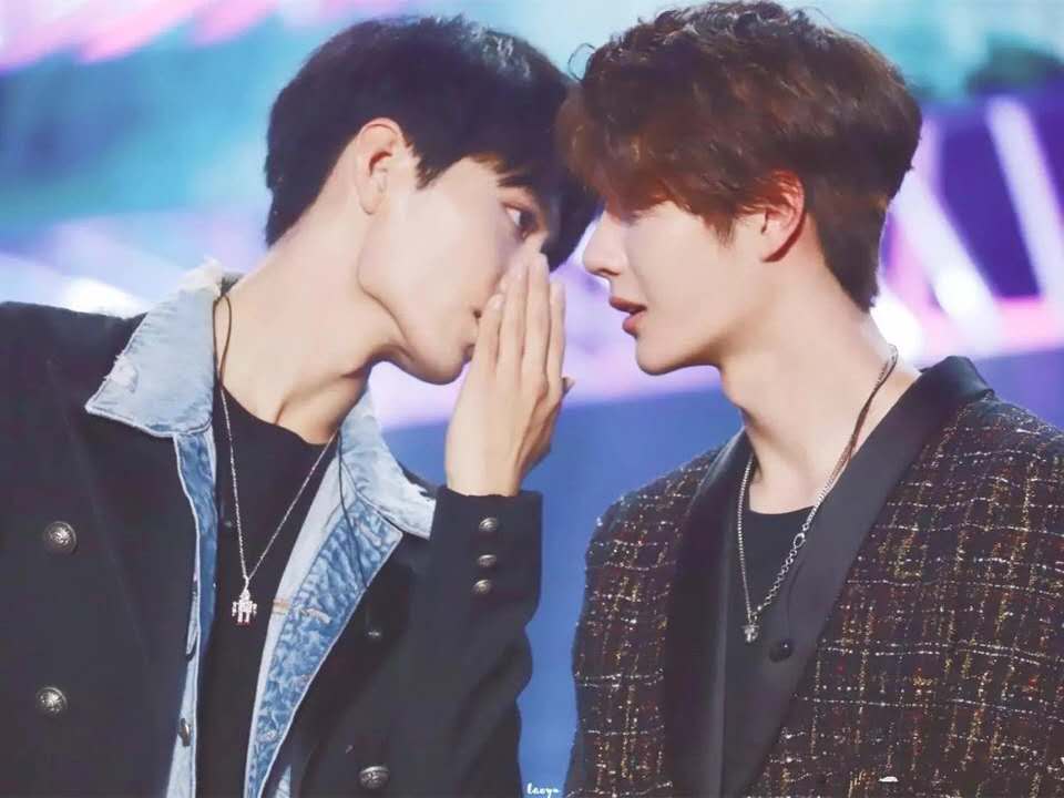 王中王一肖中特亓个——探寻背后的意义与价值,王中王一肖中特亓个,背后的意义与价值探究