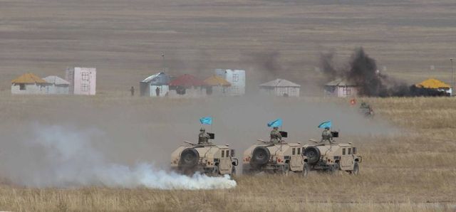 和平使命之重要性与价值,和平使命的重要性与价值,守护世界和平的不可或缺之力