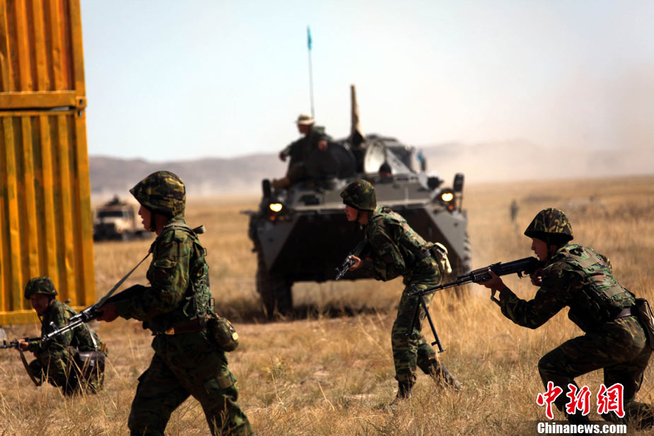 和平使命之重要性与价值,和平使命的重要性与价值,守护世界和平的不可或缺之力