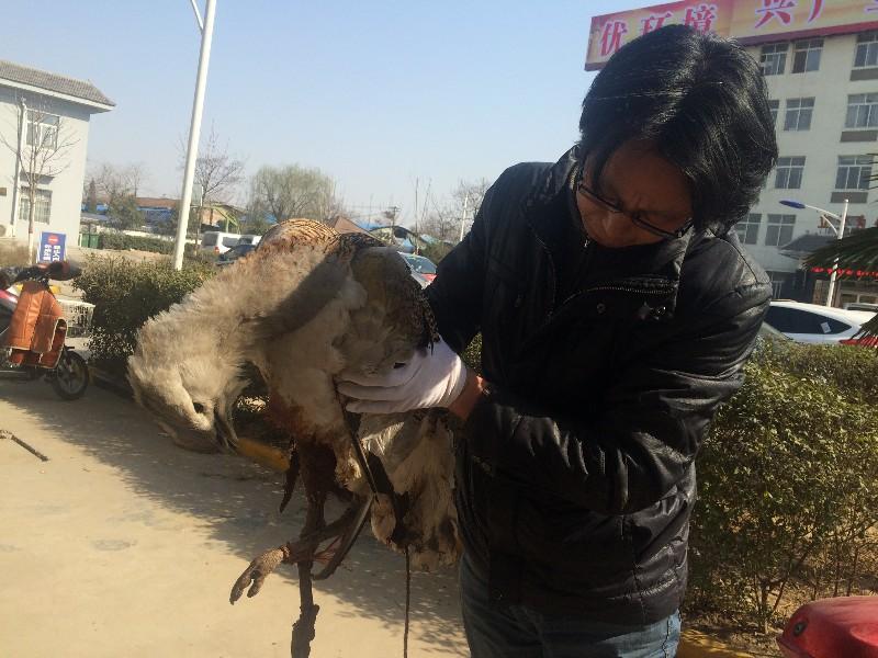 裤裆藏雷的不合理性探究,裤裆藏雷现象的不合理性探究