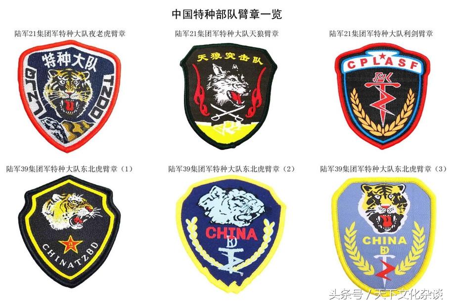 中国特种部队排名臂章,荣耀与力量的象征,中国特种部队排名臂章,荣耀与力量的标志