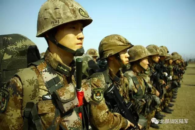 关于第十六集团军现代化的深度探讨与转型之路,第十六集团军现代化深度探讨与转型之路研究