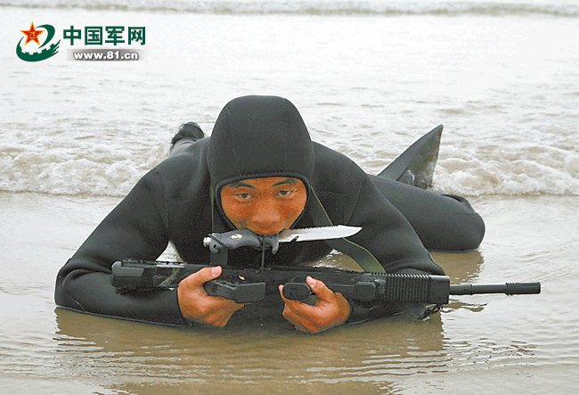 揭秘蛟龙突击队军服,英勇与荣耀的象征,蛟龙突击队军服揭秘,英勇战士的荣耀象征