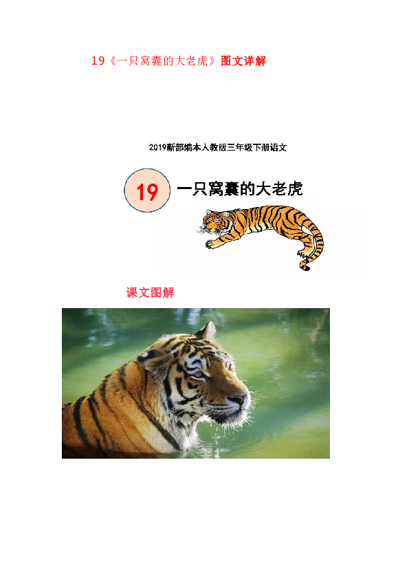 四大老虎,历史、文化、生态与象征的多维解读,四大老虎,多维解读历史、文化、生态与象征意义