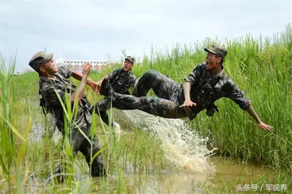 陆军兵种分类详细介绍,陆军兵种分类详解