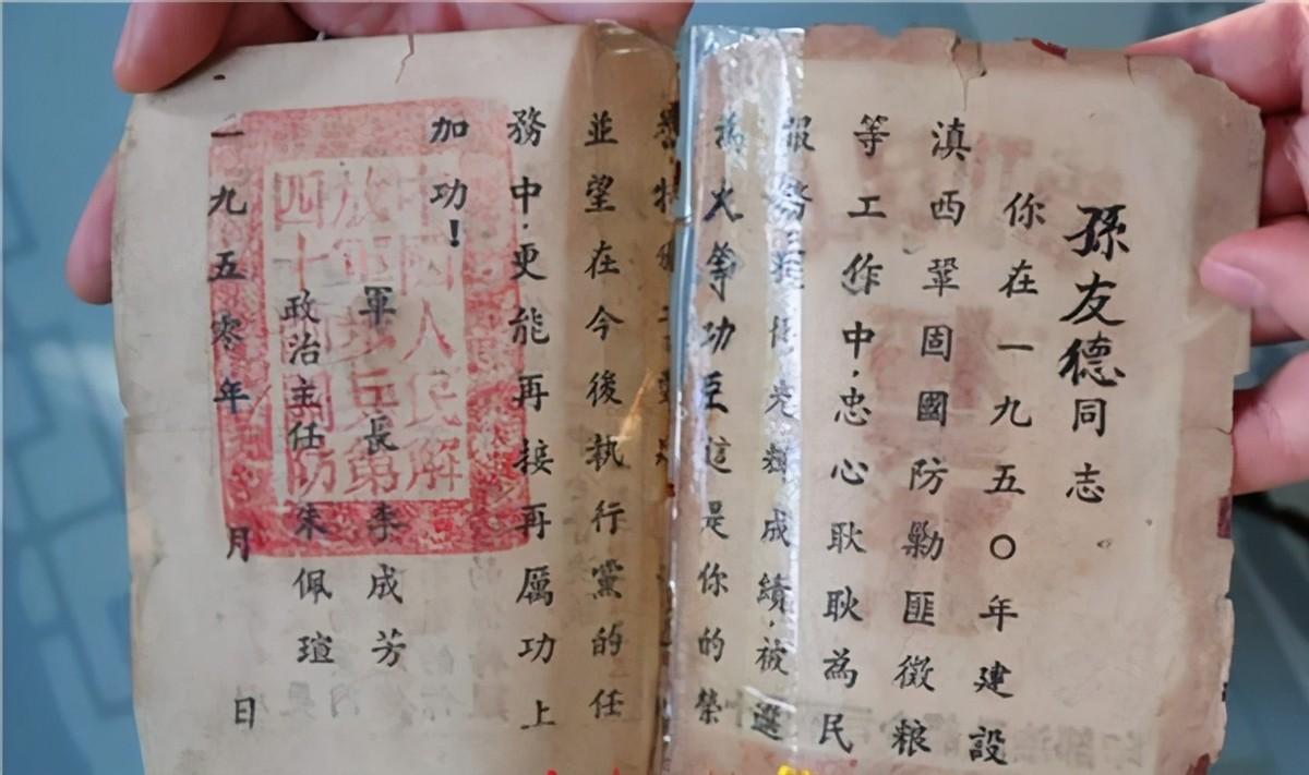 共和国勋章对子女的待遇与影响,共和国勋章对子女待遇与影响探究