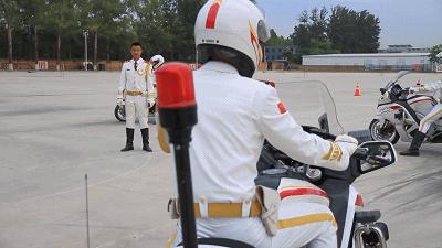 国宾护卫队全集,荣耀与责任,国宾护卫队,荣耀与责任的全方位展现