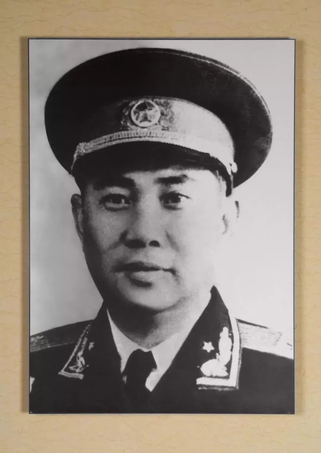 关于广西壮族开国将军吃人将军的探讨，广西壮族开国将军中的吃人将军现象探讨